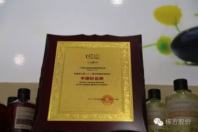 科技引領美麗▏棟方股份榮獲“中國好品牌獎”！