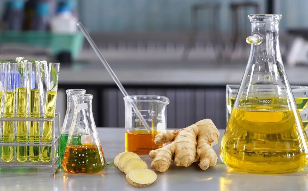 棟方股份榮獲2021年廣東省科技進(jìn)步獎(jiǎng)，科研創(chuàng)新實(shí)力再獲認(rèn)可！