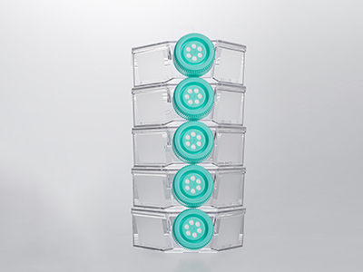 0.22μm疏水濾膜蓋，通氣阻水，高效阻菌；