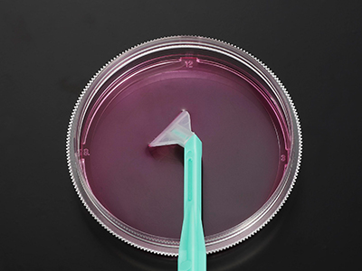 可自由旋轉(zhuǎn)刀片，能刮取各個(gè)角落，收獲細(xì)胞