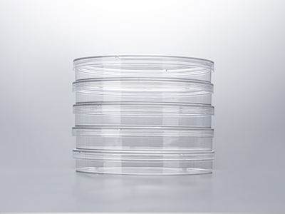 培養(yǎng)皿蓋外邊緣凸起，保證疊放穩(wěn)定；