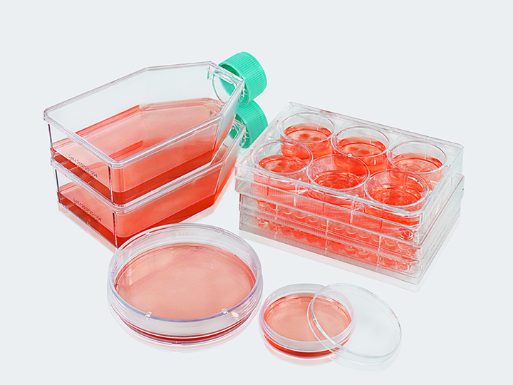 內(nèi)頁(yè) 1 拷貝.jpg