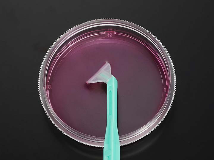 內(nèi)頁(yè)720×540 拷貝.jpg